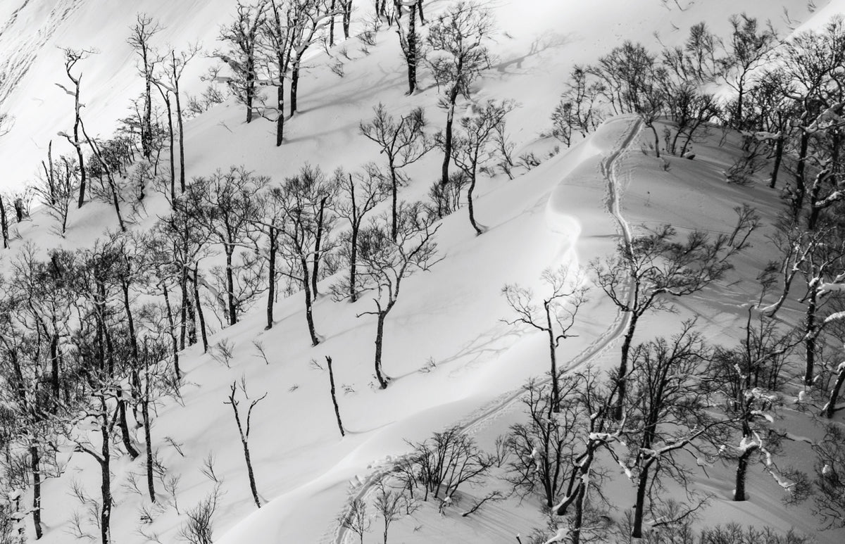 gara-splitboard-skin-track